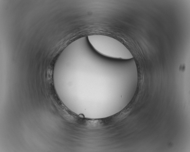 X0000112780281200908201421
