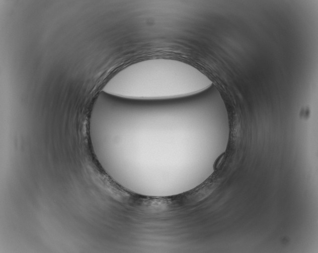 X0000112780282200908201421