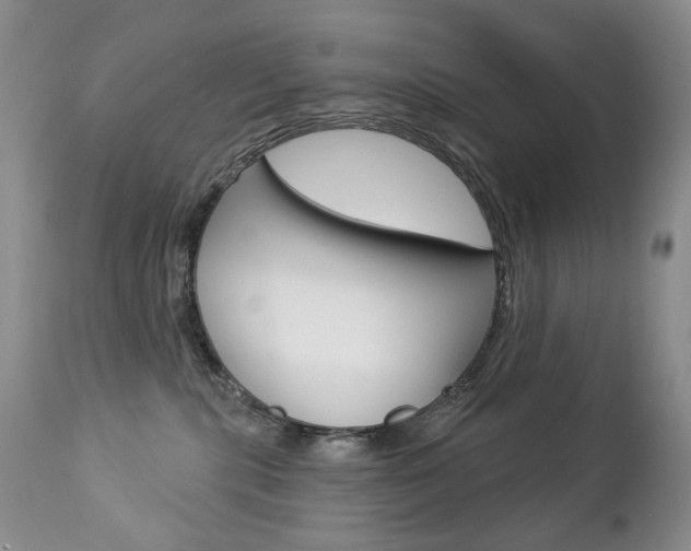 X0000112780283200908201421