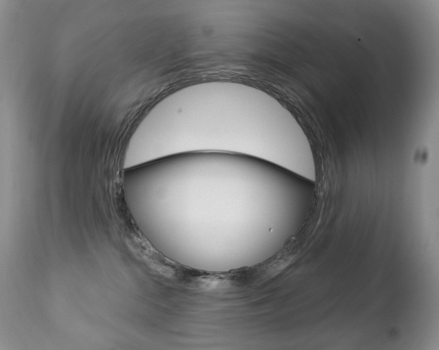 X0000112780284200908201421