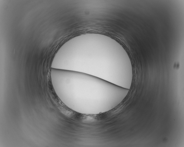 X0000112780285200908201421