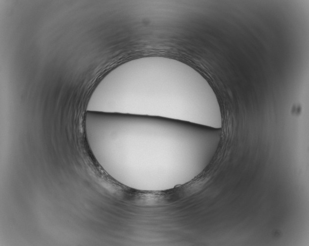 X0000112780286200908201421