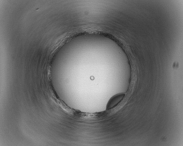 X0000112780288200908201421