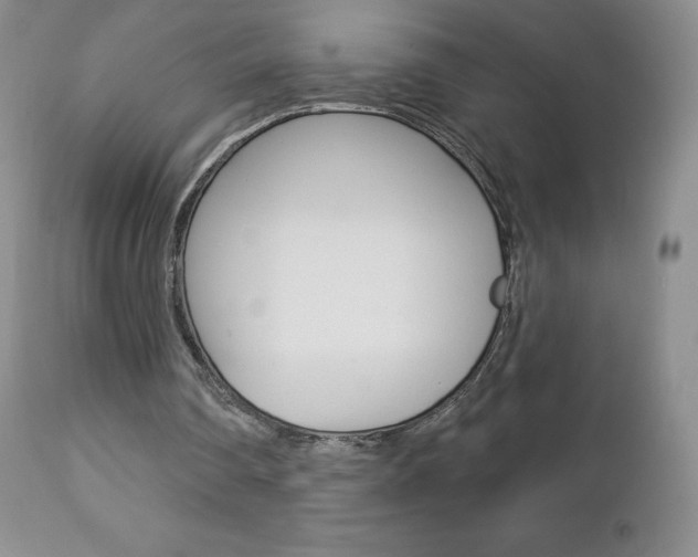 X0000112780290200908201421