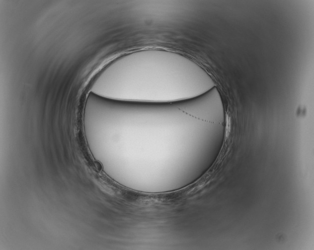 X0000112780291200908201421