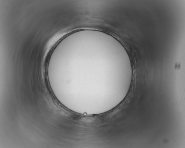 X0000112780294200908201420