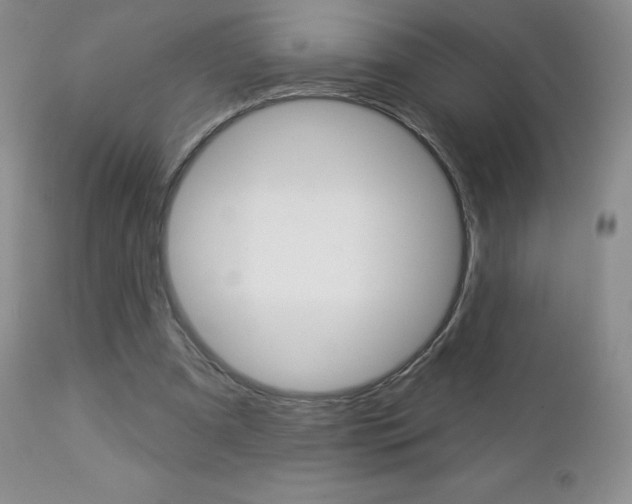 X0000112780297200908201420