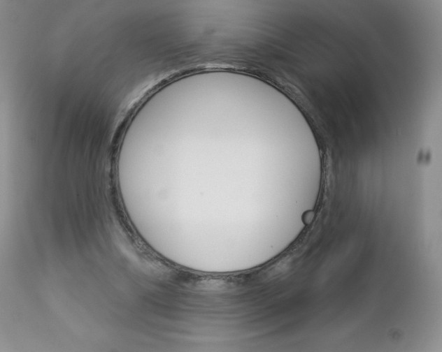 X0000112780298200908201420