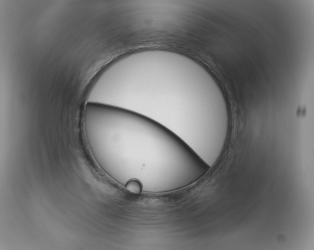 X0000112780299200908201420
