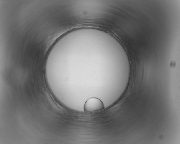 X0000112780301200908201420