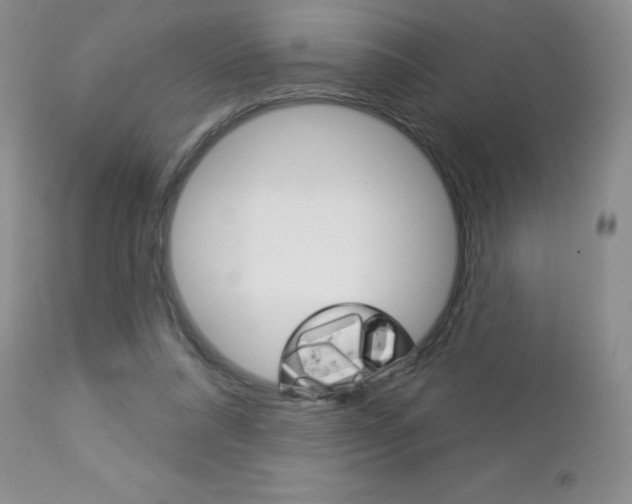 X0000112780304200908201420