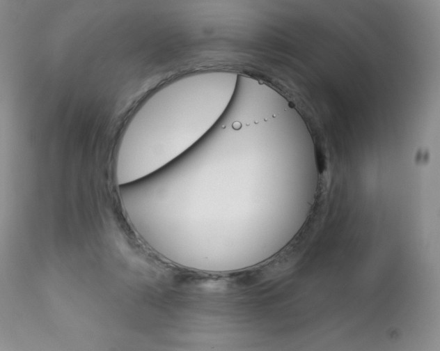 X0000112780306200908201420