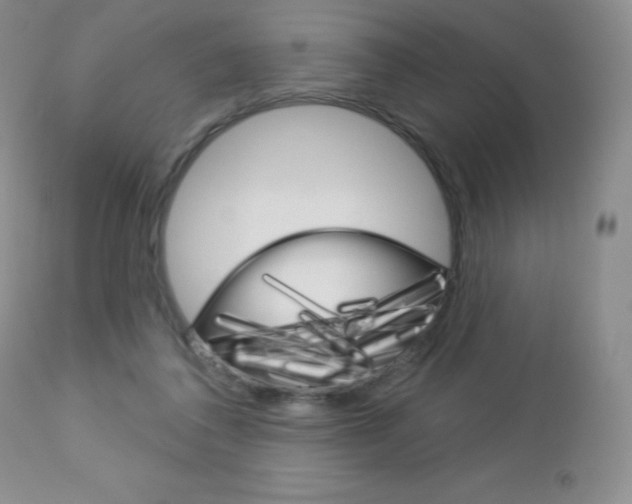 X0000112780308200908201420