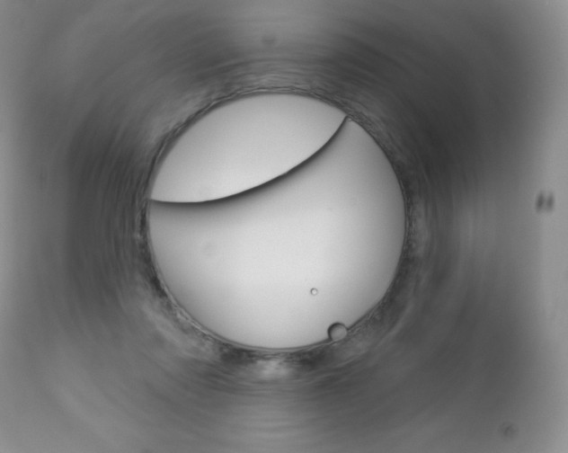 X0000112780310200908201420