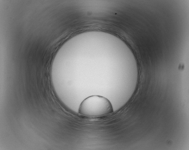 X0000112780313200908201420