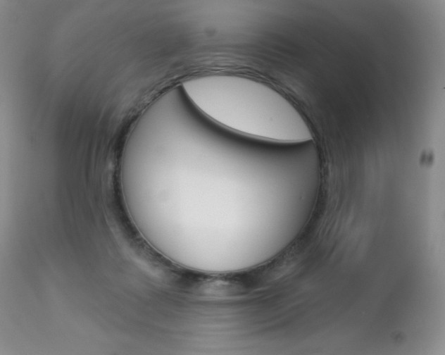 X0000112780315200908201420