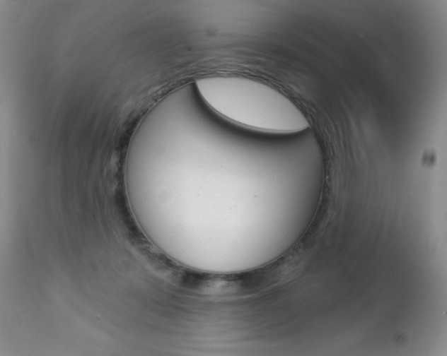 X0000112780319200908201420