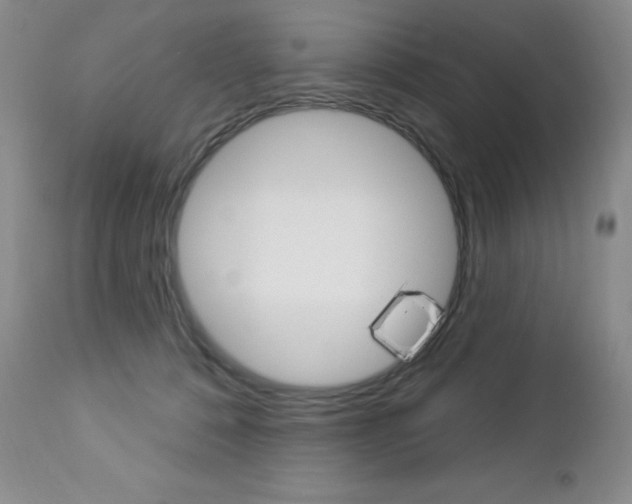 X0000112780320200908201420