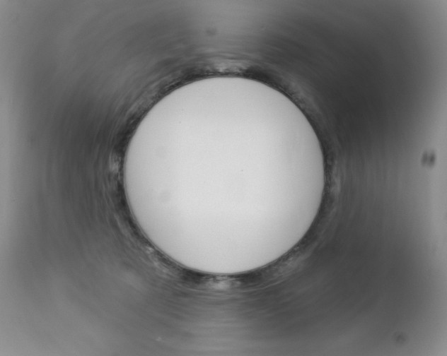 X0000112780321200908201420