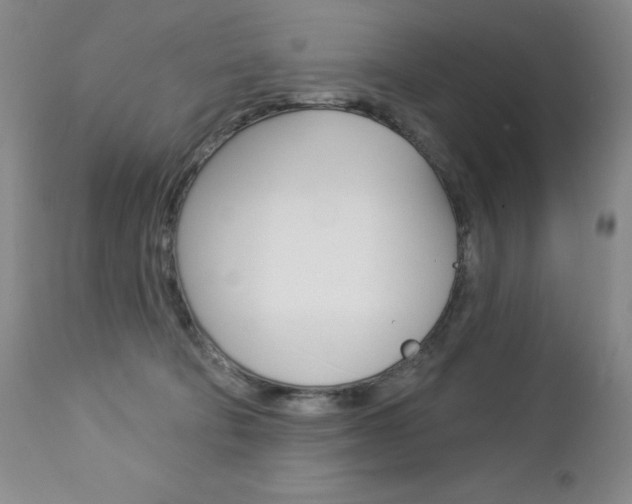 X0000112780322200908201420