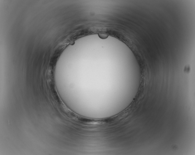 X0000112780323200908201420