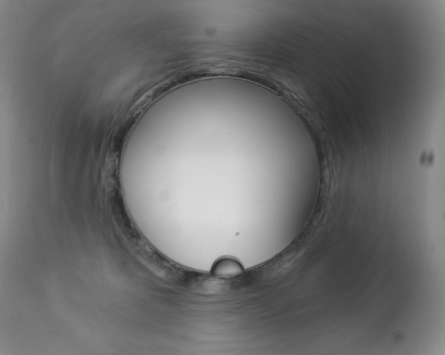 X0000112780325200908201420