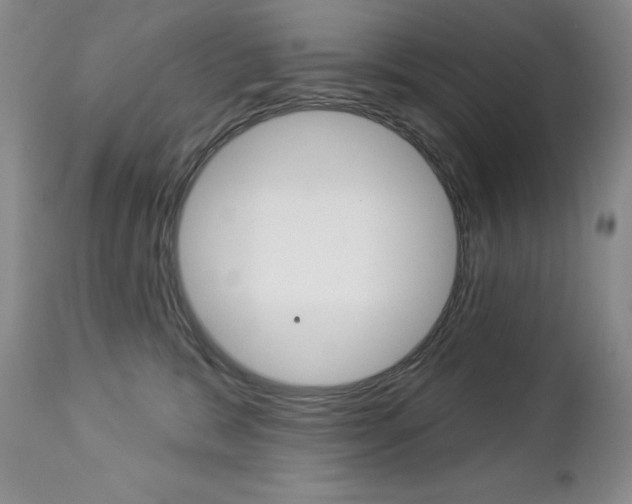 X0000112780327200908201420