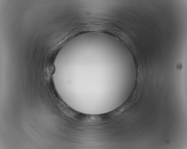 X0000112780329200908201420