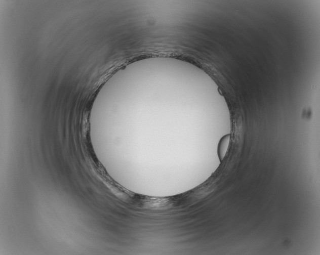 X0000112780334200908201420