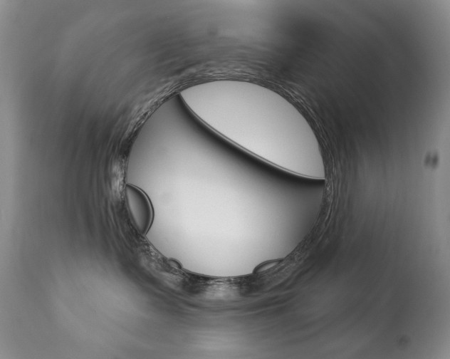 X0000112780335200908201420