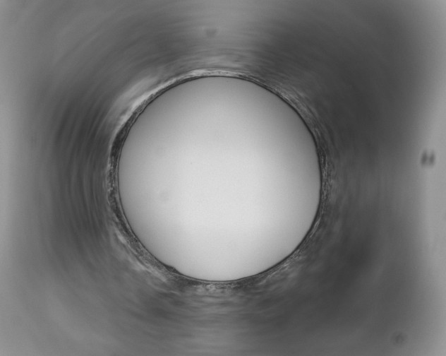 X0000112780338200908201419