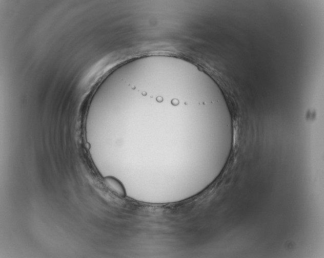 X0000112780339200908201419