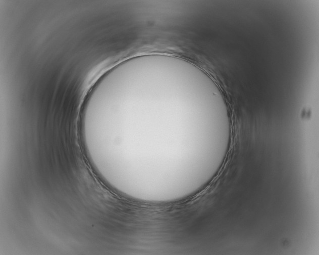 X0000112780340200908201419