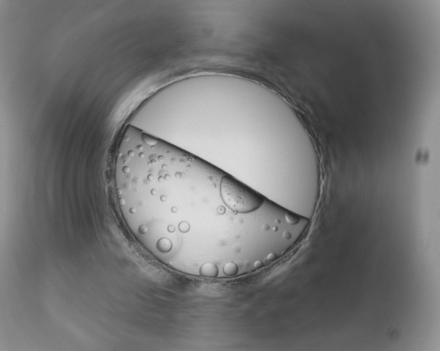 X0000112780341200908201419