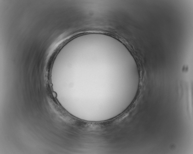 X0000112780343200908201419