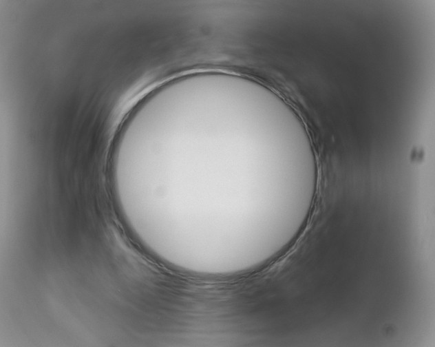 X0000112780344200908201419