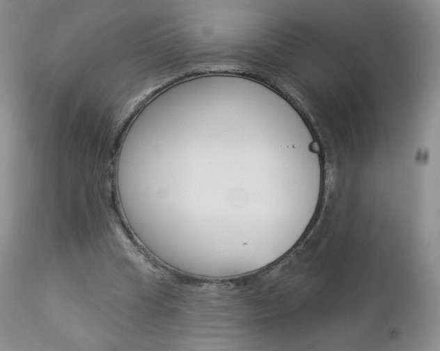 X0000112780345200908201419