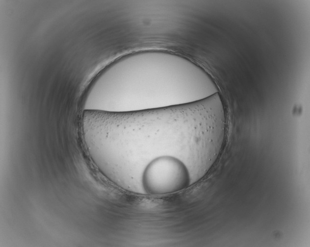 X0000112780346200908201419
