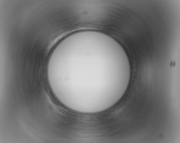 X0000112780348200908201419