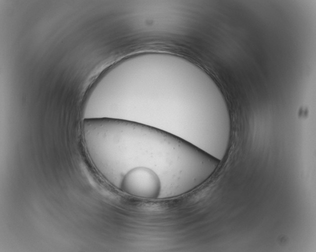 X0000112780349200908201419