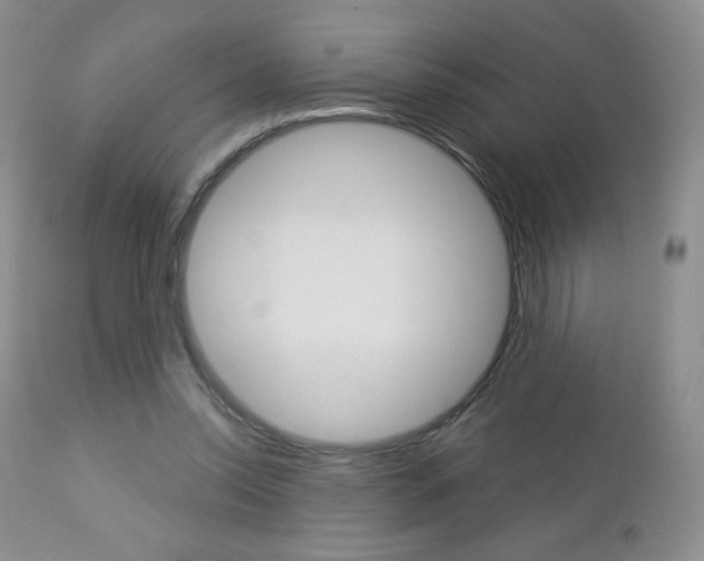 X0000112780350200908201419