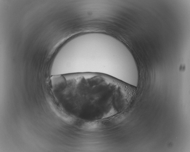 X0000112780351200908201419