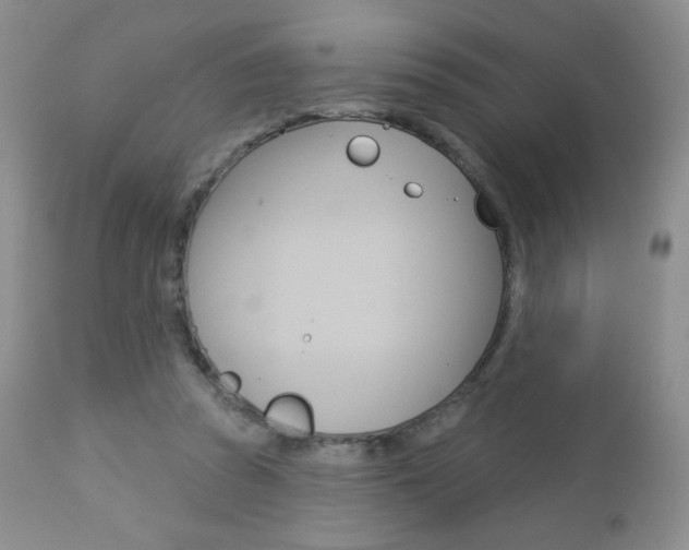 X0000112780353200908201419