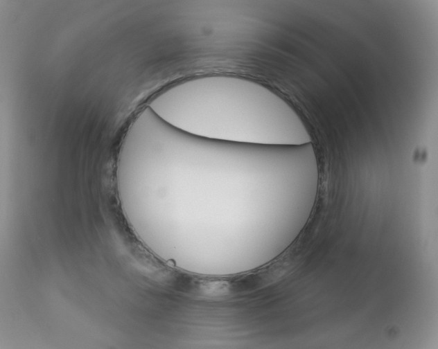 X0000112780355200908201419