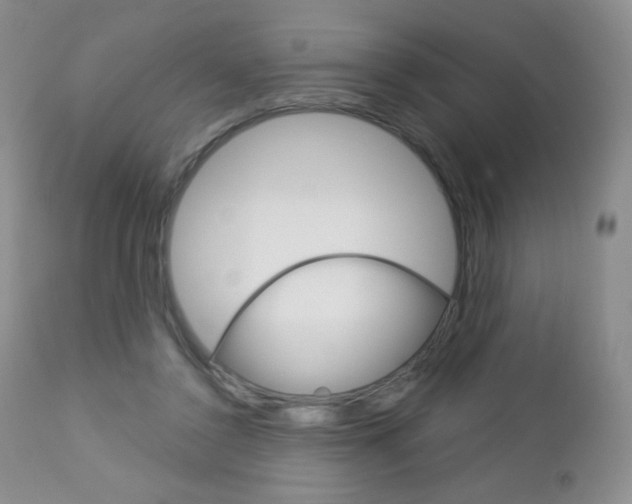 X0000112780356200908201419