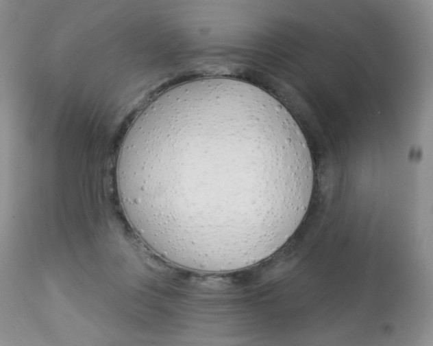 X0000112780359200908201420