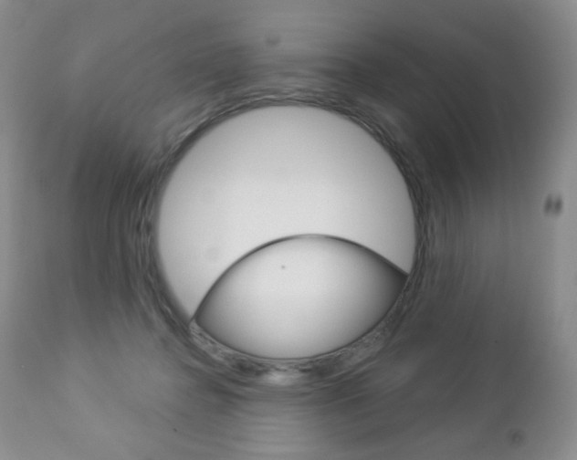 X0000112780364200908201420