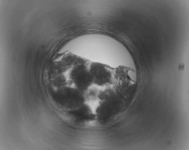 X0000112780365200908201420