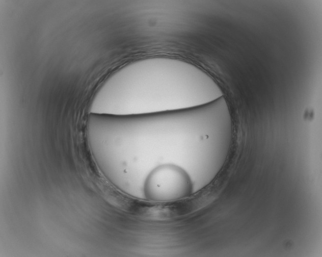 X0000112780366200908201420