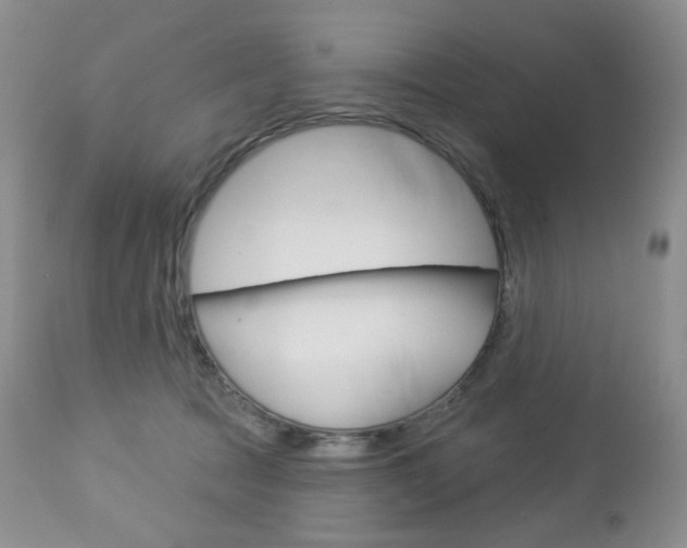X0000112780369200908201420
